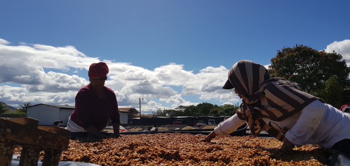 Chaque jour, nous travaillons avec des producteurs passionnés pour sélectionner les meilleurs grains.