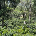 KENYA BATIAN RUIRU 11