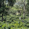 KENYA BATIAN RUIRU 11