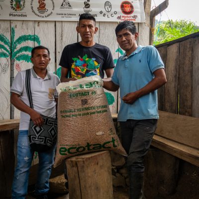 Cafés de spécialité- La manufacture du café