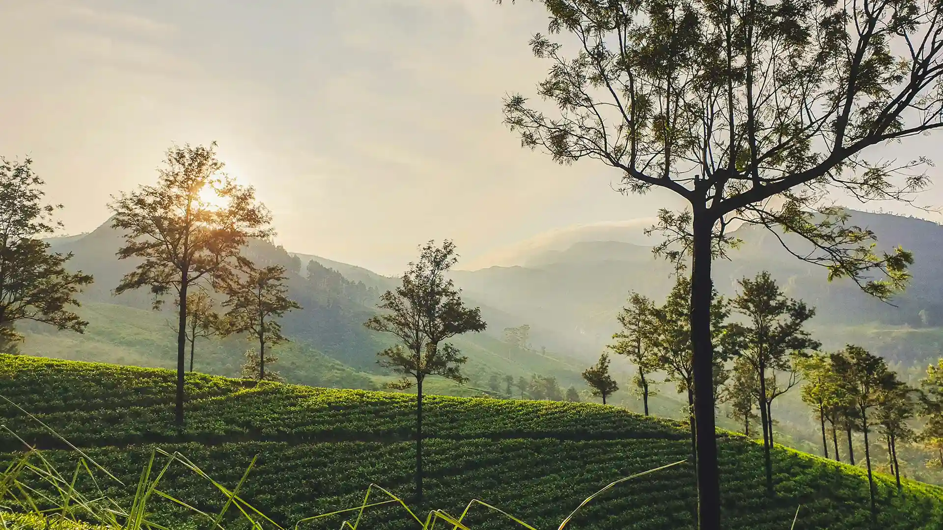 -Histoire et valeurs-